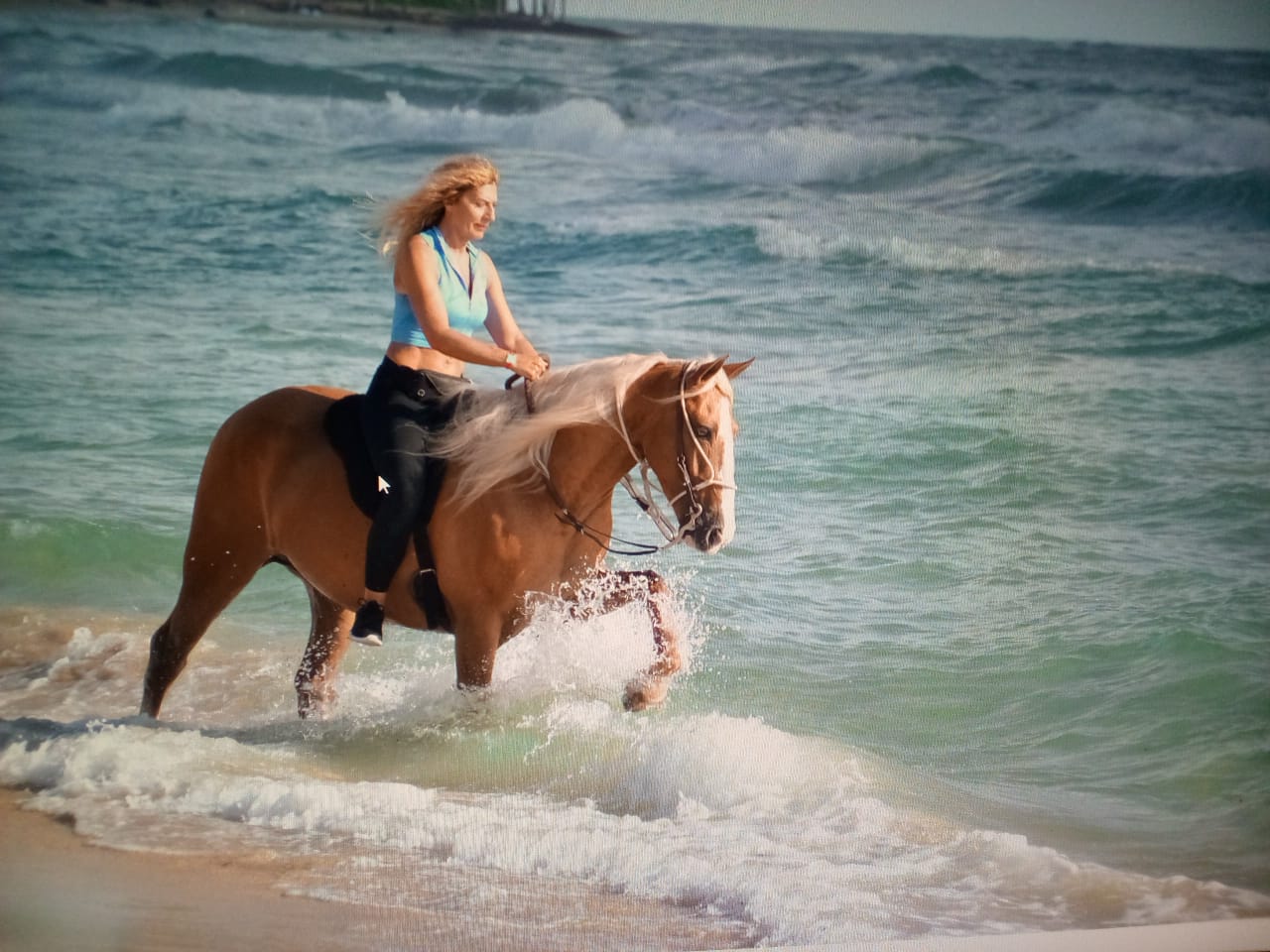 Punta Cana horse backride 